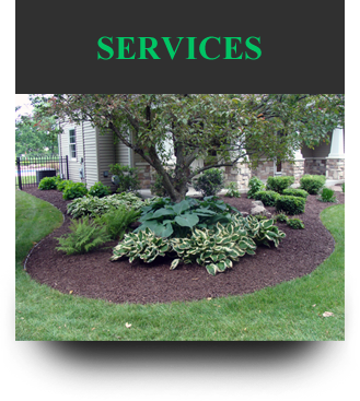 Landscaping & Lawn Mantenance Services