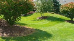 September lawn care in Michigan