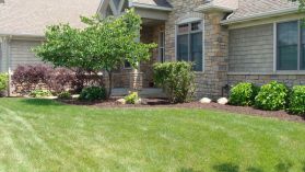 CD Lawn Maintenance & Supply