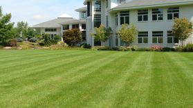 CD Lawn Maintenance & Supply