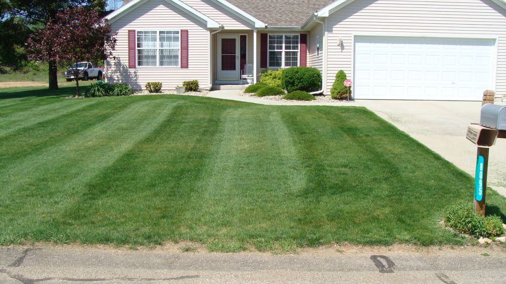 Lawn Maintenance