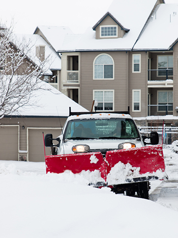 Snow Removal